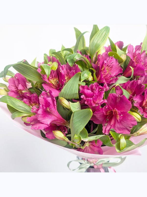 Alstroemeria
