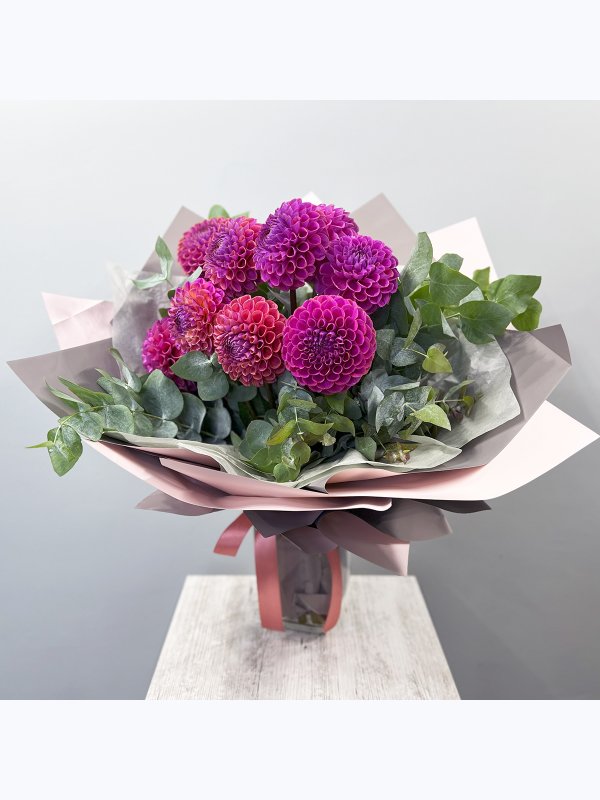 Pink dahlias