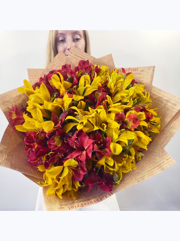Red and yellow alstroemeria