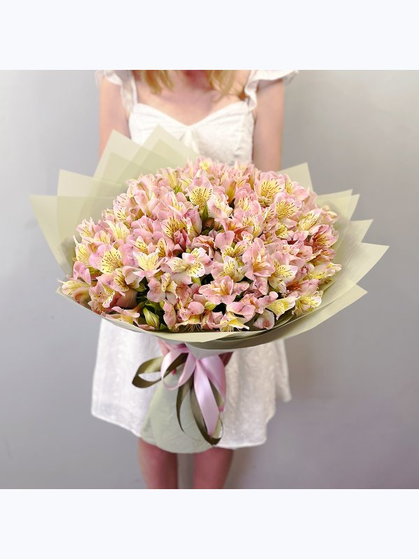 Pink alstroemerias