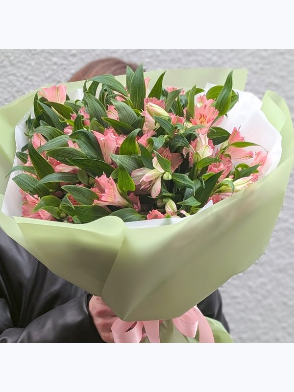Alstroemeria pink 11