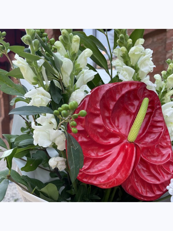A bouquet of red anthurium