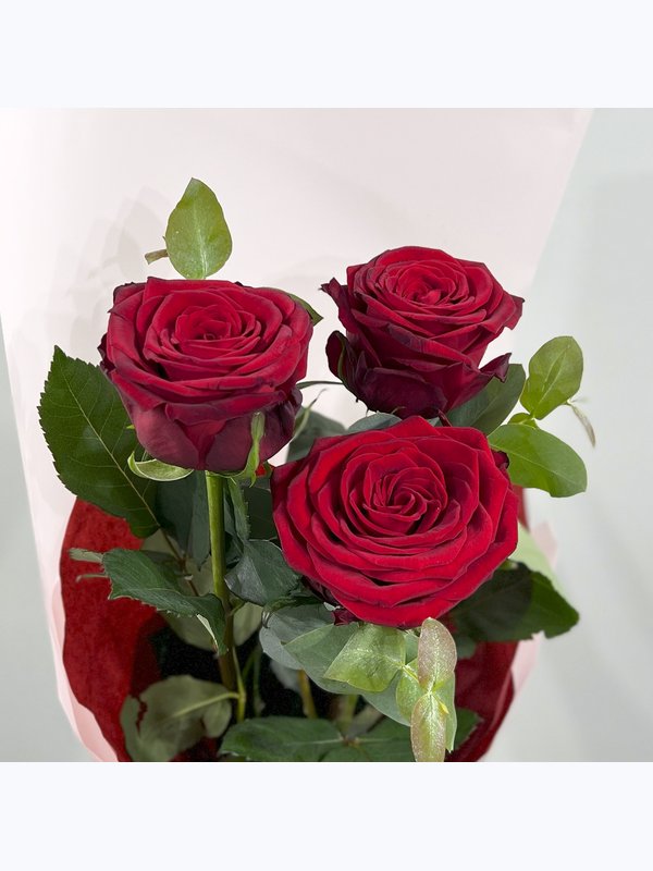 3 red roses