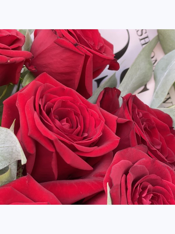 11 red roses