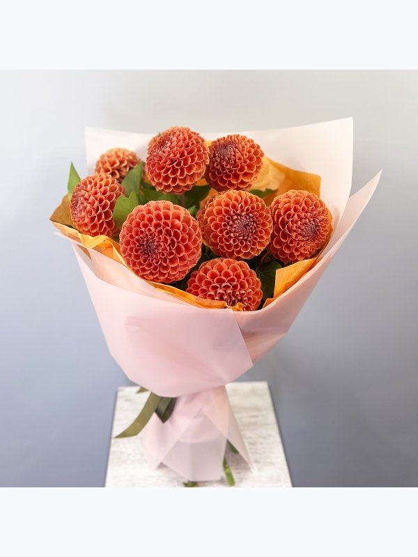 Orange dahlias