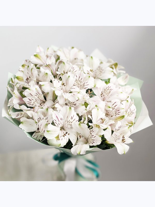 White Alstroemeria