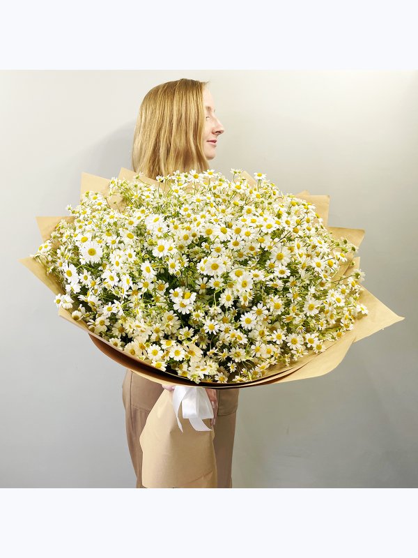 Sea of ​​daisies
