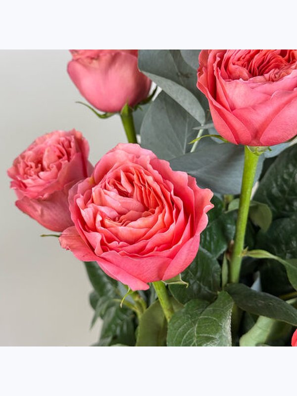 🌸 «Ближе к тебе»