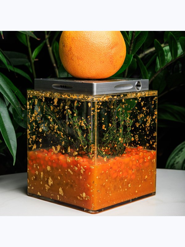 Паровой коктейль "Citrus Sea"