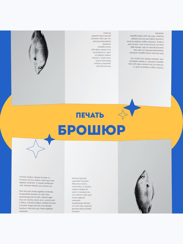 БУКЛЕТЫ / БРОШЮРЫ