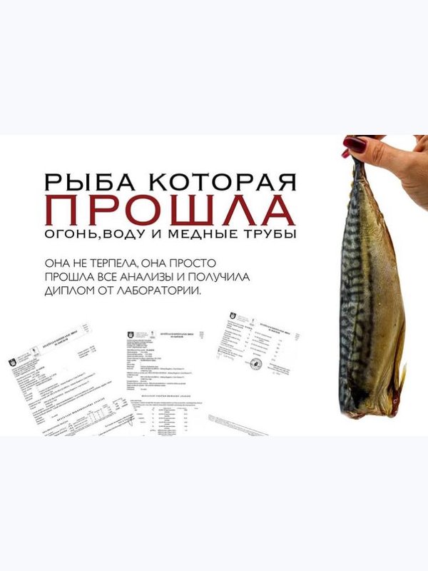 Скумбрия холодного копчения