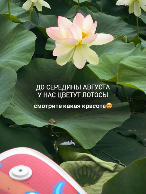 ИЮЛЬ | АВГУСТ| СЕНТЯБРЬ