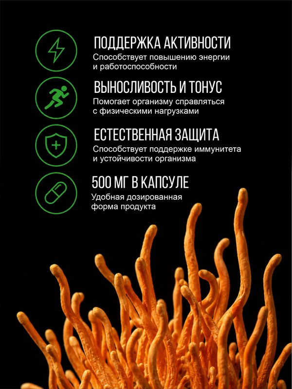 Живая Алхимия Кордицепс милитарис 120 капсул 500мг Эликсир жизненной силы