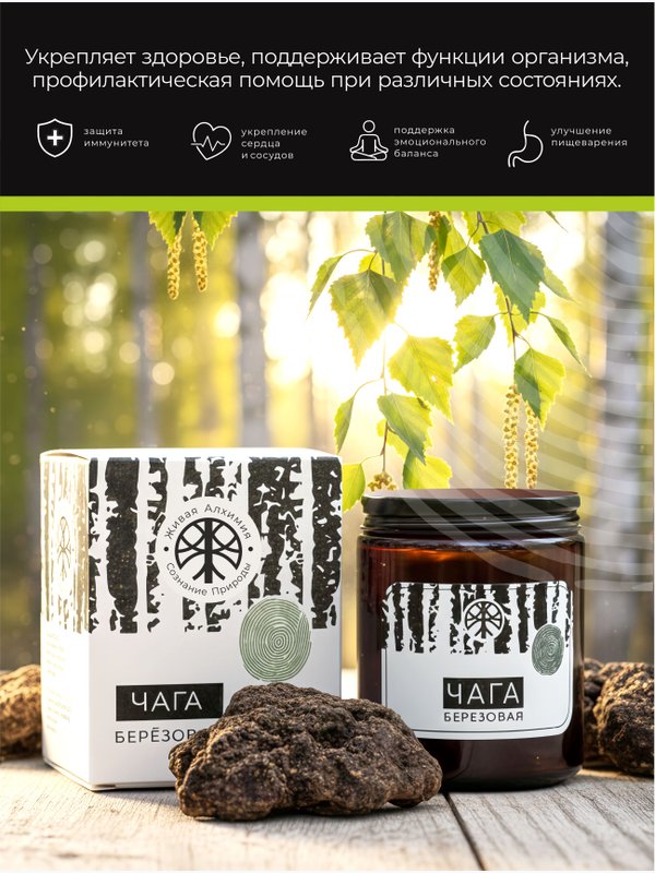 Чага березовая 240 г