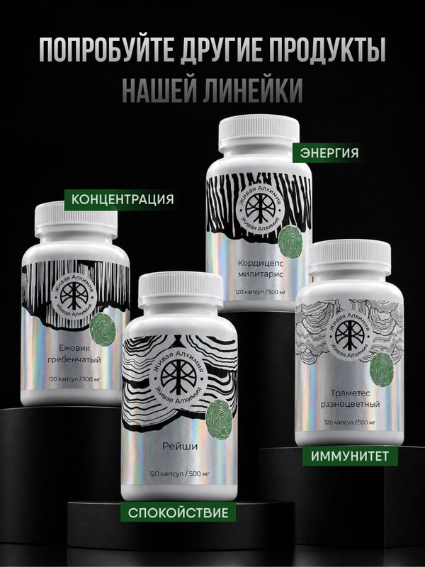 Живая Алхимия Ежовик гребенчатый 120 капсул 500мг Нейропротектор ясности ума