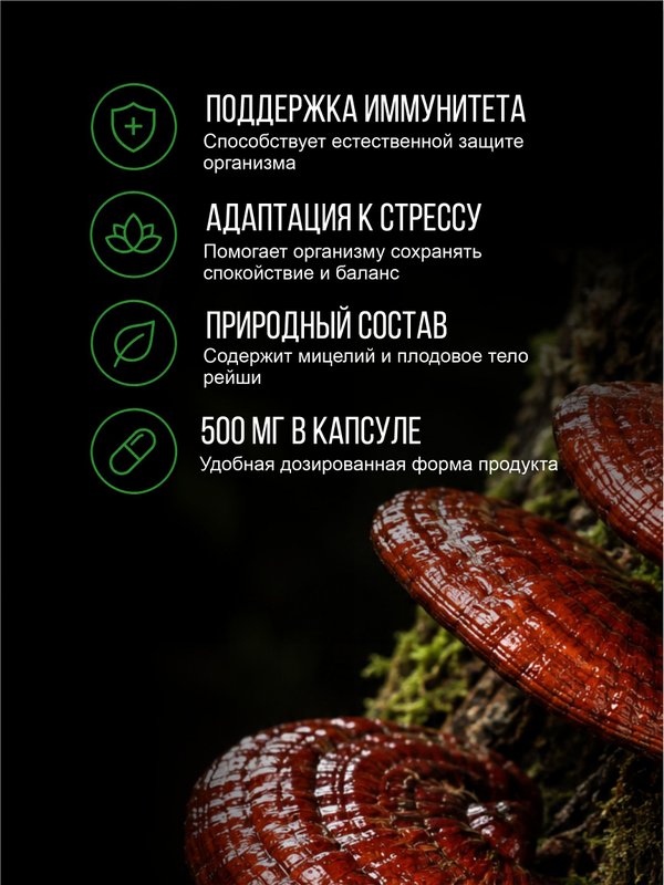 Живая Алхимия Рейши (Линчжи, Ganoderma lucidum) 120 капсул 500мг Грибы бессмертия и покоя