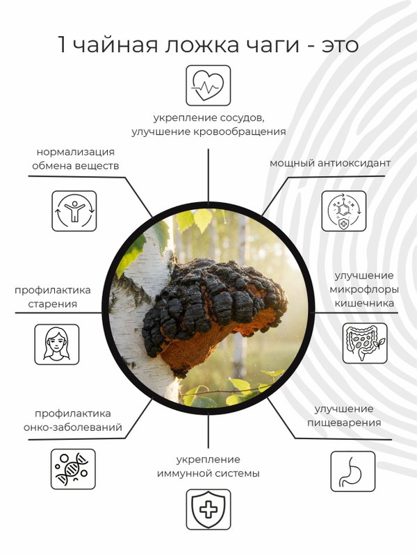 Чага березовая 240 г