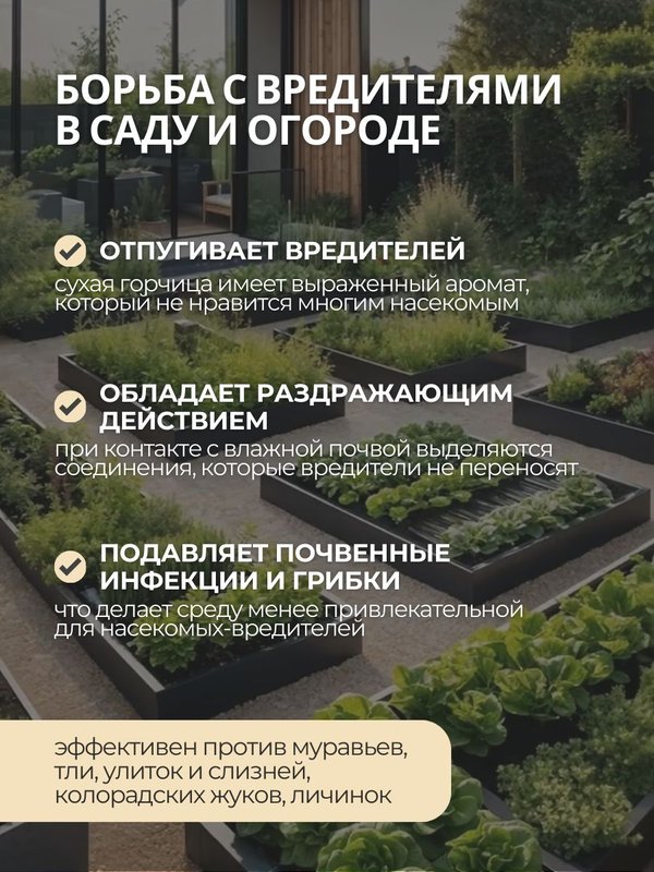 Горчичный порошок 1 кг, сухая молотая горчица О2 Натуральные продукты