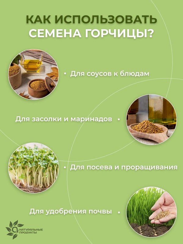 Семена горчицы желтой 3 кг для маринадов и посева