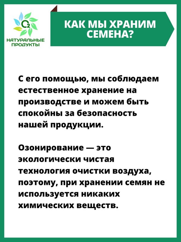 Расторопша семена для печени для похудения 1 кг