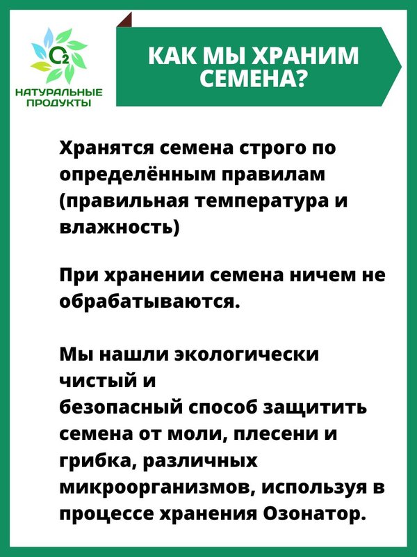 Расторопша семена для печени для похудения 1 кг