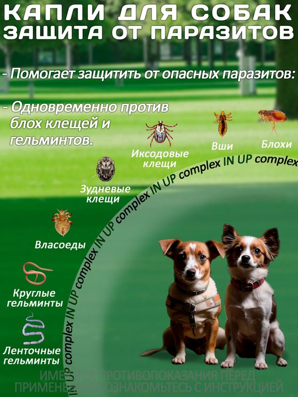 Комплексные капли от блох, клещей и гельминтов для собак до 10кг IN-UP Complex (ИН-АП) Празиквантел/Фипронил/Аверсектин С1