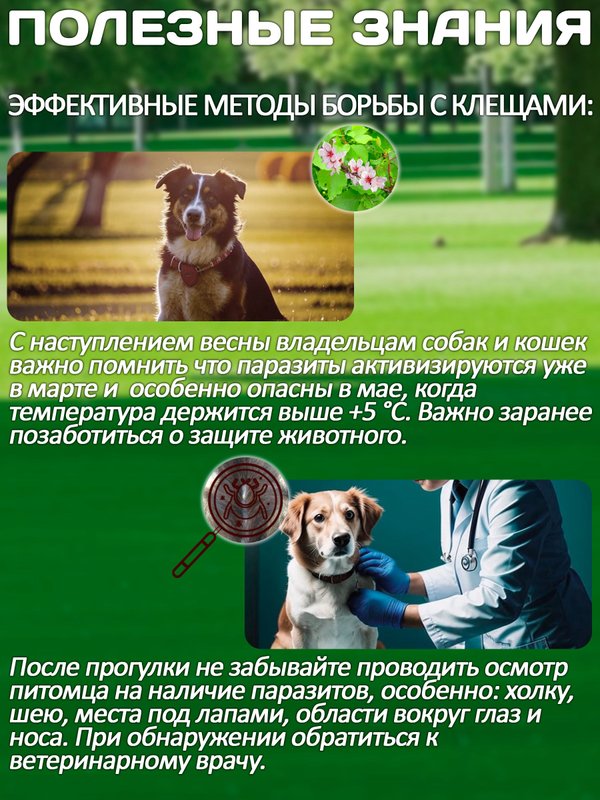 Комплексные капли от блох, клещей и гельминтов для собак до 10кг IN-UP Complex (ИН-АП) Празиквантел/Фипронил/Аверсектин С1