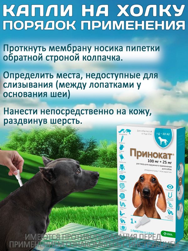 Принокат капли на холку от блох, клещей, вшей, власоедов и гельминтов для собак менее 4 кг (KRKA), Имидаклоприд/Моксидектин