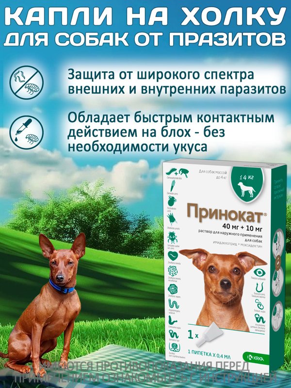Принокат капли на холку от блох, клещей, вшей, власоедов и гельминтов для собак менее 4 кг (KRKA), Имидаклоприд/Моксидектин