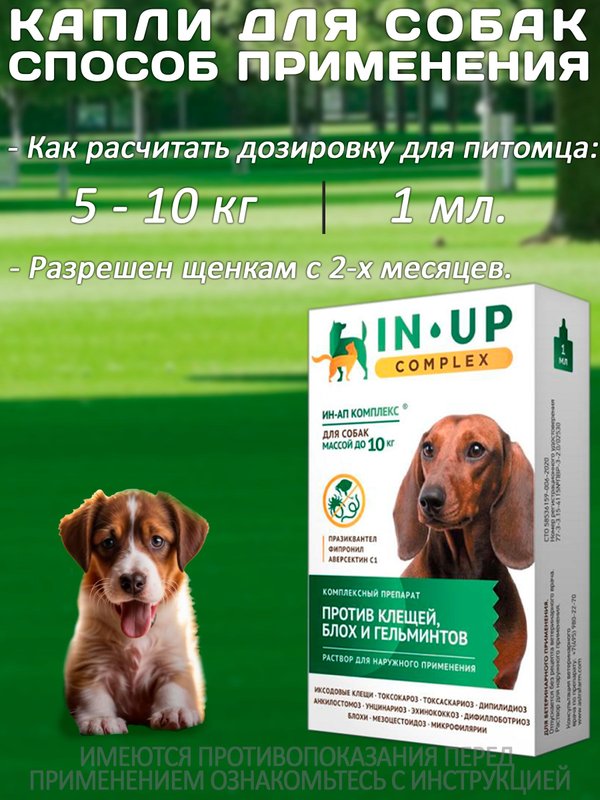 Комплексные капли от блох, клещей и гельминтов для собак до 10кг IN-UP Complex (ИН-АП) Празиквантел/Фипронил/Аверсектин С1