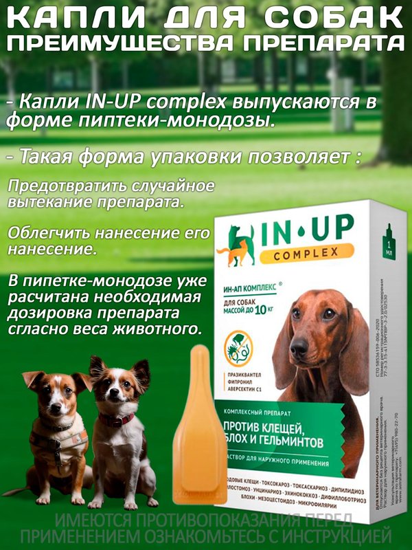 Комплексные капли от блох, клещей и гельминтов для собак до 10кг IN-UP Complex (ИН-АП) Празиквантел/Фипронил/Аверсектин С1