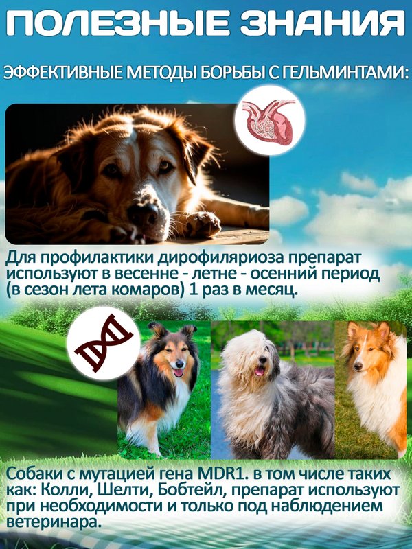Принокат капли на холку от блох, клещей, вшей, власоедов и гельминтов для собак менее 4 кг (KRKA), Имидаклоприд/Моксидектин