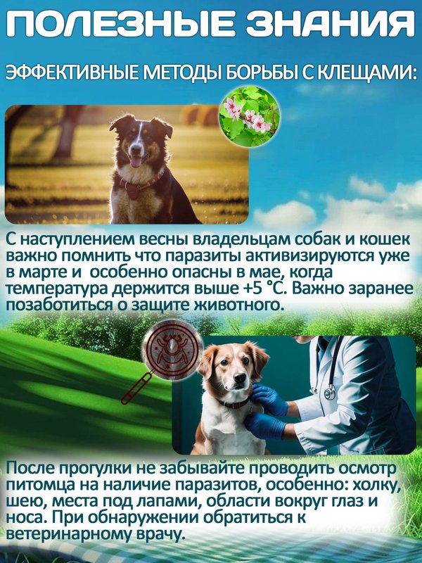 Принокат капли на холку от блох, клещей, вшей, власоедов и гельминтов для собак менее 4 кг (KRKA), Имидаклоприд/Моксидектин