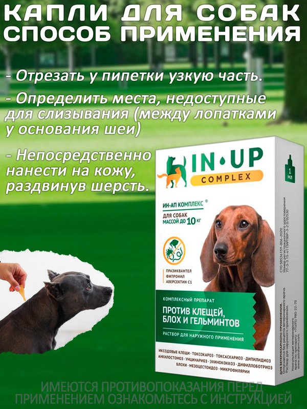 Комплексные капли от блох, клещей и гельминтов для собак до 10кг IN-UP Complex (ИН-АП) Празиквантел/Фипронил/Аверсектин С1