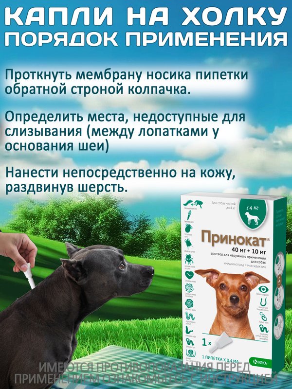 Принокат капли на холку от блох, клещей, вшей, власоедов и гельминтов для собак менее 4 кг (KRKA), Имидаклоприд/Моксидектин