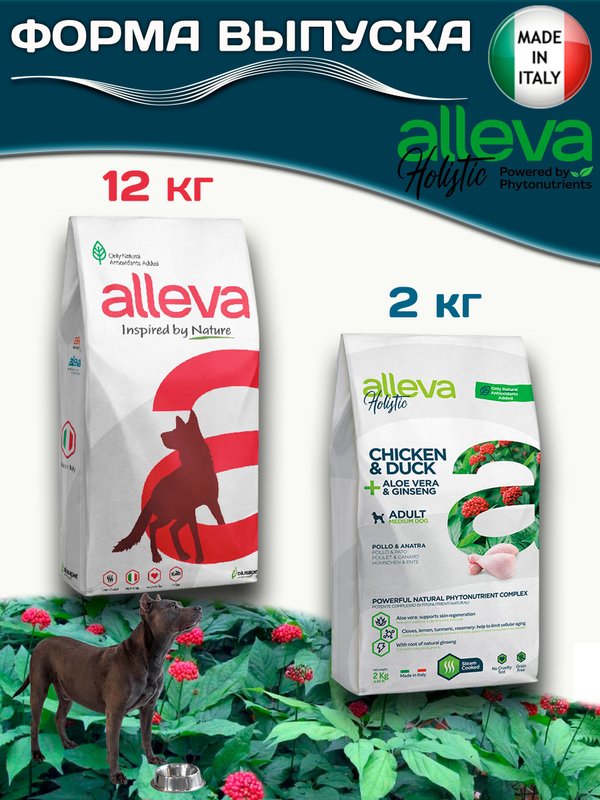 Корм Аллева Холистик Holistic Chicken & Duck + Aloe vera & Ginseng Medium для взрослых собак средних пород, с курицей и уткой, алое вера и женьшенем, 2 кг