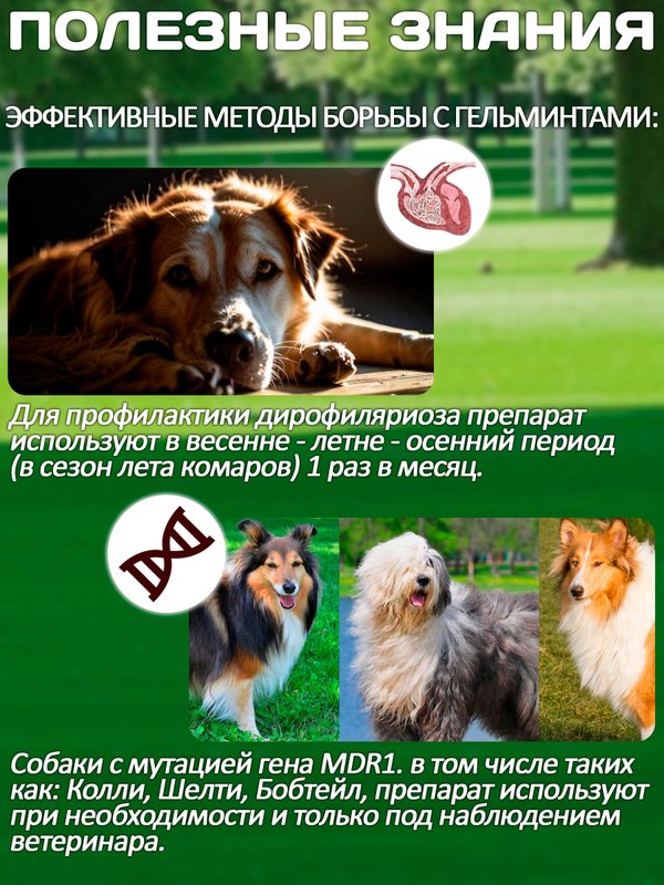 Комплексные капли от блох, клещей и гельминтов для собак до 10кг IN-UP Complex (ИН-АП) Празиквантел/Фипронил/Аверсектин С1
