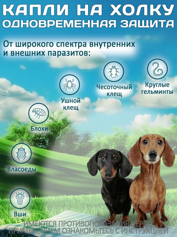 Принокат капли на холку от блох, клещей, вшей, власоедов и гельминтов для собак менее 4 кг (KRKA), Имидаклоприд/Моксидектин
