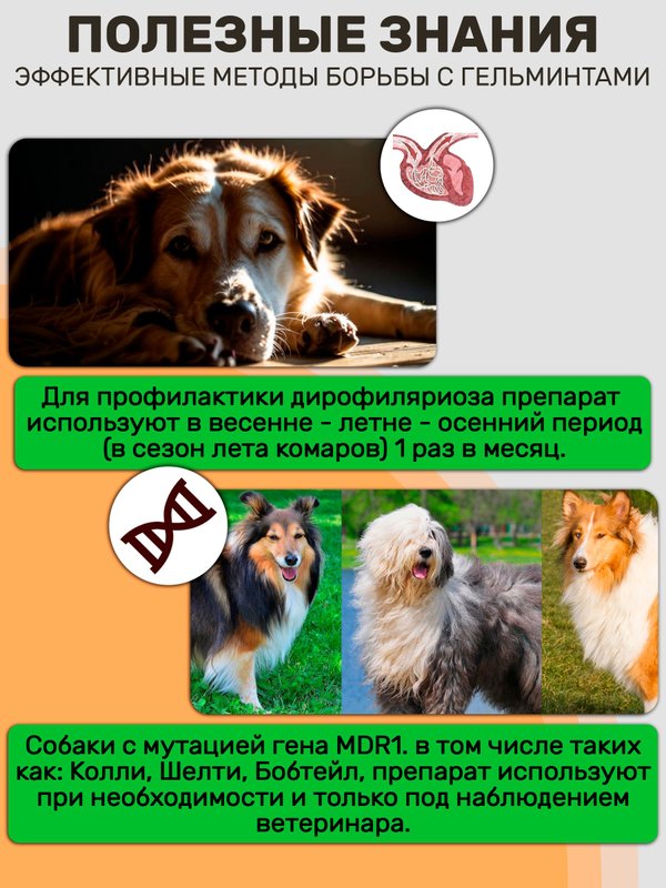 Пинпрамиль комбинированные таблетки от гельминтов, а так же для профилактики дирофиляриоза для собак более 5кг со вкусом мяса VIC, 4 таблетки