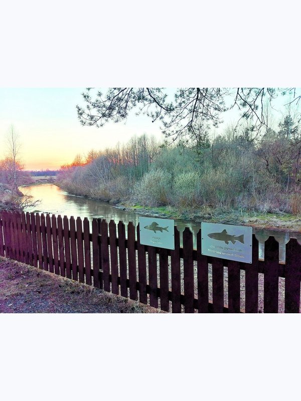 Воложинские гостинцы