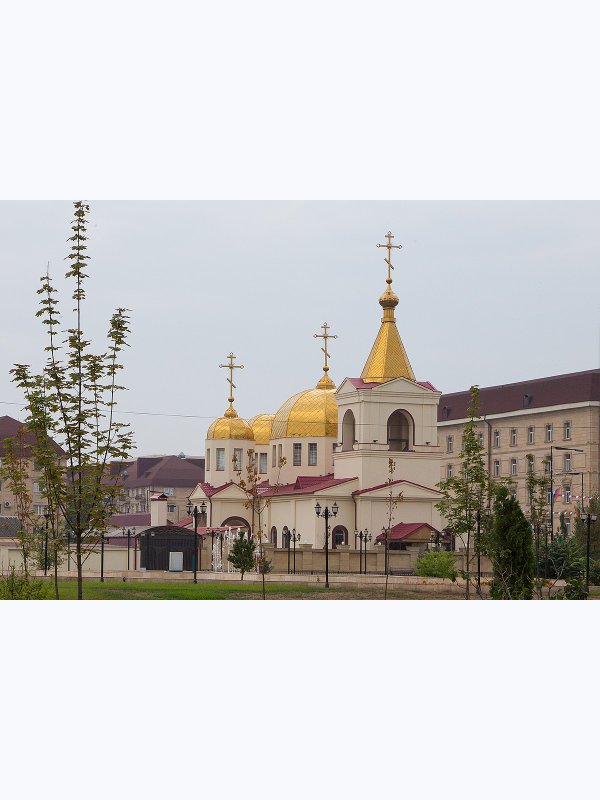 Грозный - Аргун - Шали