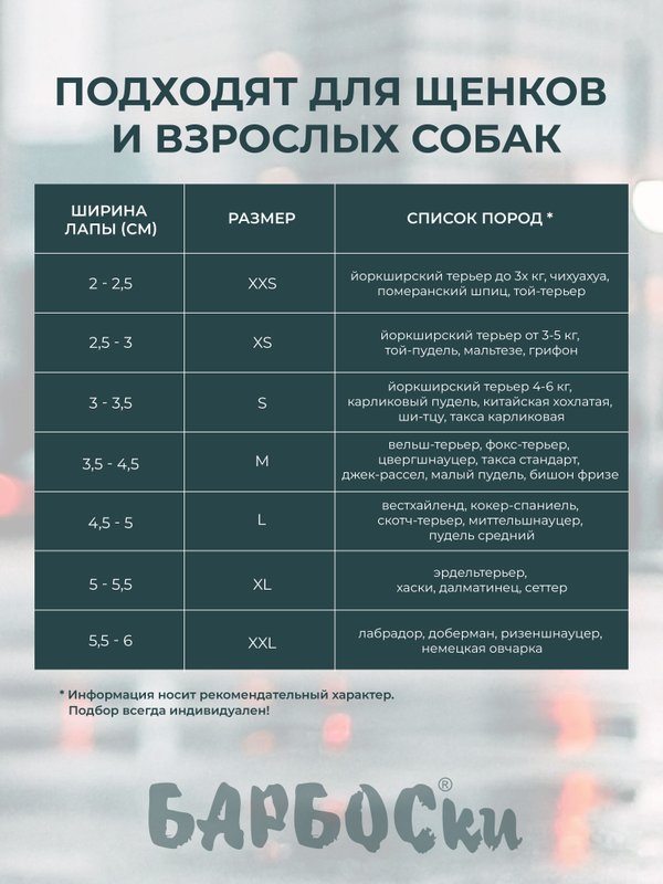 Носки (обувь) для собак мелких пород, размер XS