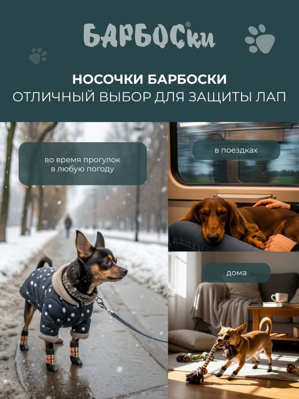 Носки (обувь) для собак мелких пород, размер XS