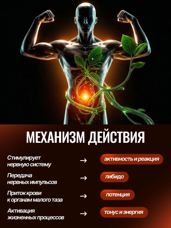 Йохимбин для мужчин, йохимбе форте, бад для потенции и либидо, мужская сила и энергия, от импотенции