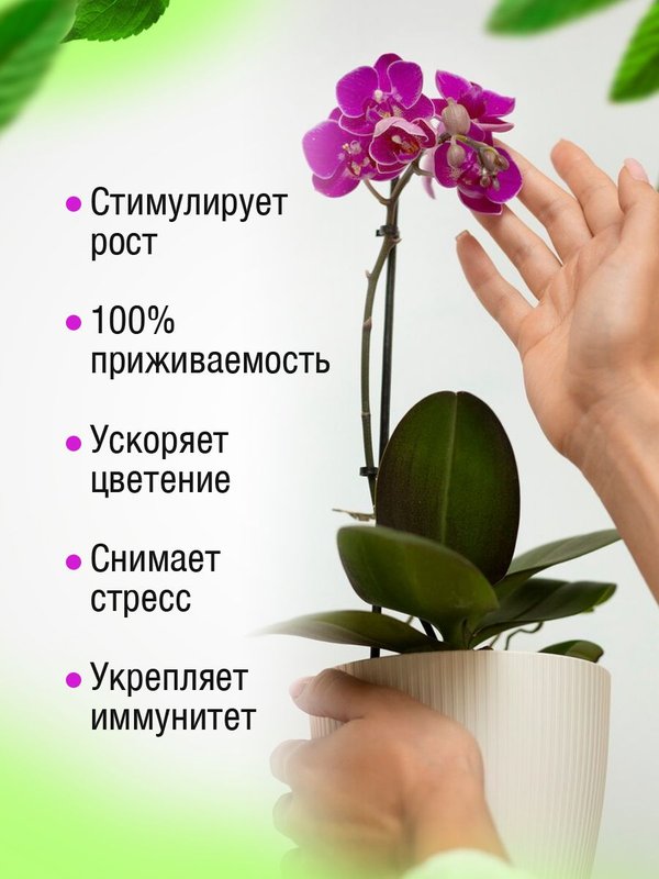 Осеннее удобрение для цветов садовых жидкое ЭКОСС 1литр концентрат / удобрение осеннее для роз, хризантем