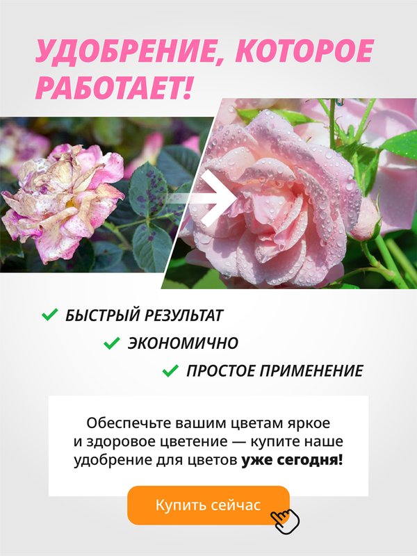 Удобрение для роз осеннее FLOVITAL подкормка для пионов 1 кг
