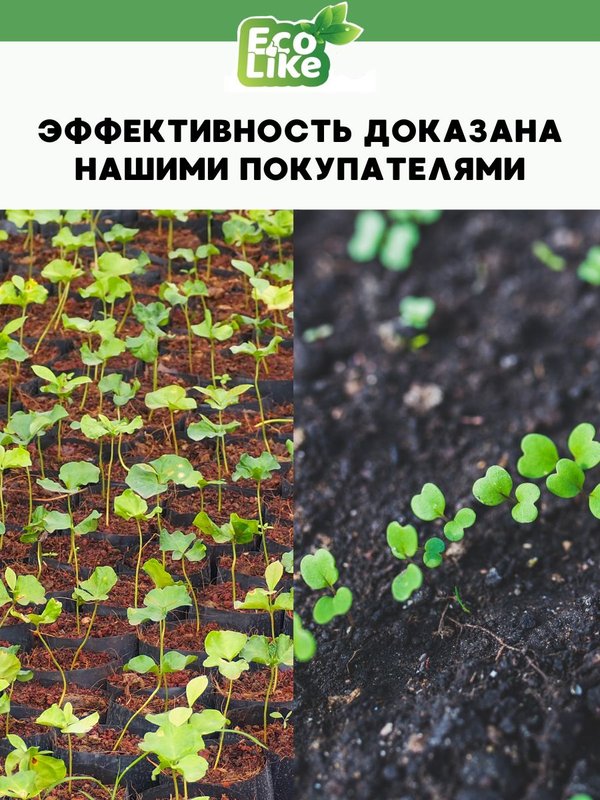 Удобрение для огурцов кабачков патиссонов/ подкормка для огурцов жидкая EcoLike 500 мл