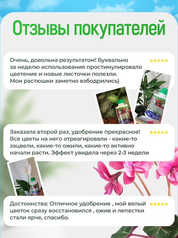 Органическое экоудобрение для комнатных растений спатифиллума, замиокулькаса EcoLike 250 мл