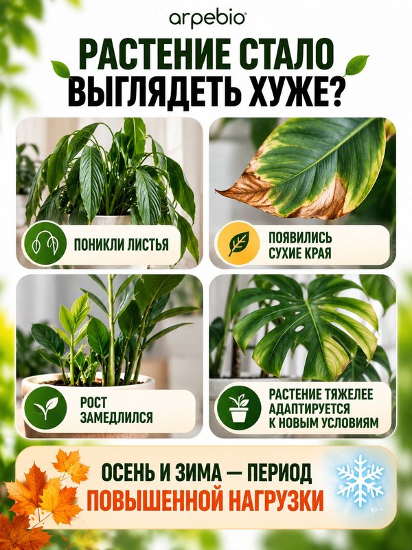 Антистресс для растений комнатных / органическое эко удобрение для комнатных цветов ArPeBio