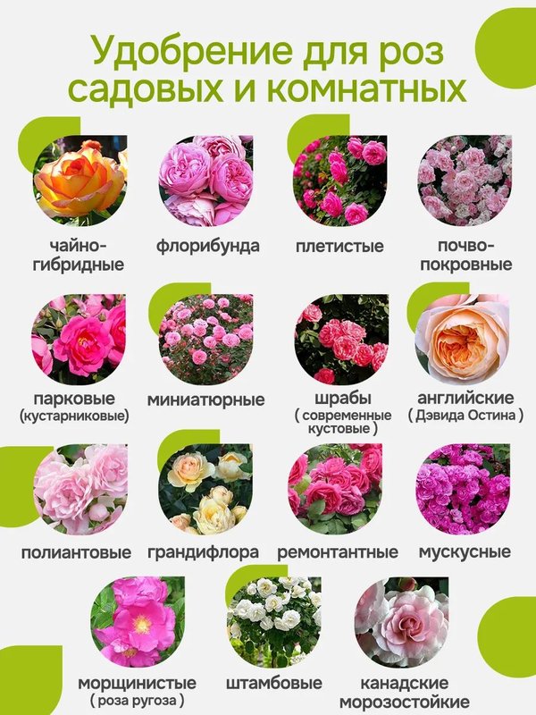 Осеннее удобрение для роз садовых ArPeBio 500 мл / подкормка для роз и пионов